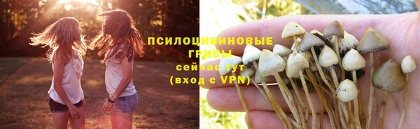 синтетический гашиш Алексин