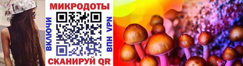 Галлюциногенные грибы GOLDEN TEACHER Новоульяновск